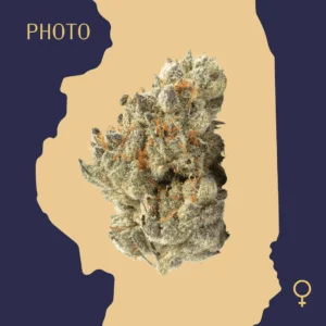 High Quality Feminized Hybrid Photoperiod Cookies and Cream Cannabis Seeds Close Up min